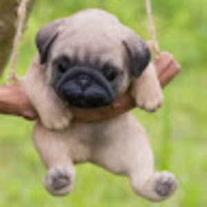 Meet your Posher, Mattea